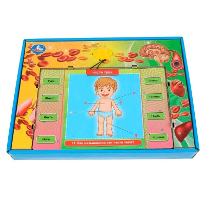 Электровикторина Тело человека Умка HT522-R